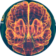 Brain Health