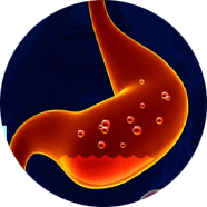 Digestion